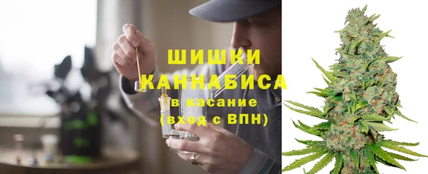 стаф Михайловск