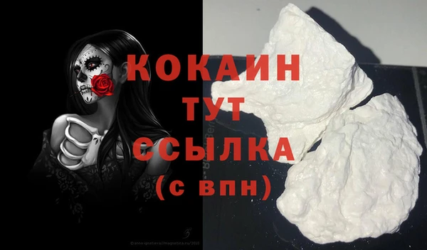 стаф Михайловск