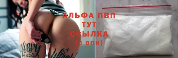 стаф Михайловск