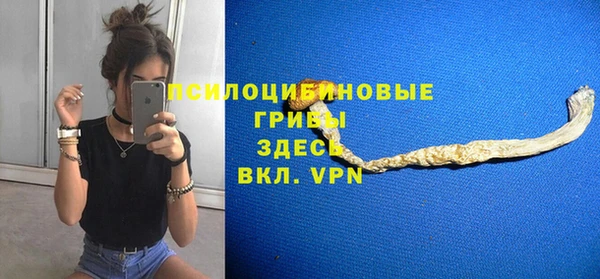 стаф Михайловск