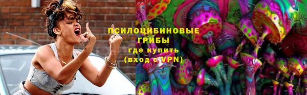 СК Михайлов
