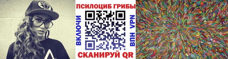 Псилоцибиновые грибы Psilocybine cubensis  Щигры 